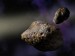 asteroid-617-patroclus-binary-jupiter-orbit-desk-1024.jpg